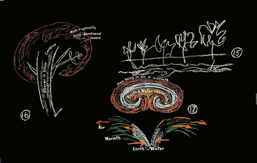 Diagram VII