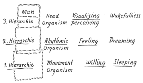 Diagram 13