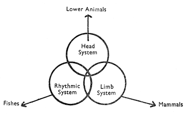 Diagram 6